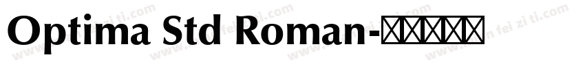 Optima Std Roman字体转换